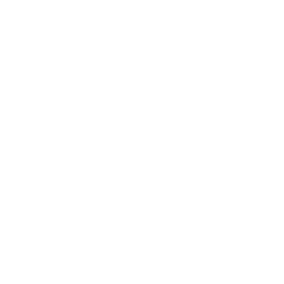Stash2Go white logo